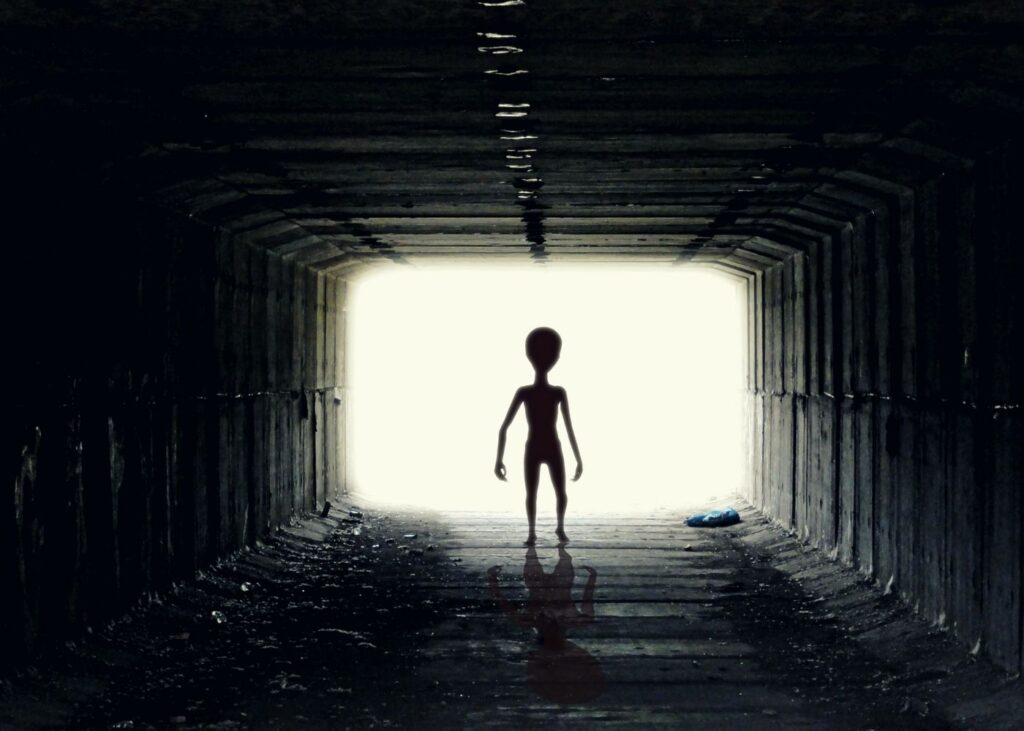 Naukowcy o UFO - porwani przez obcych